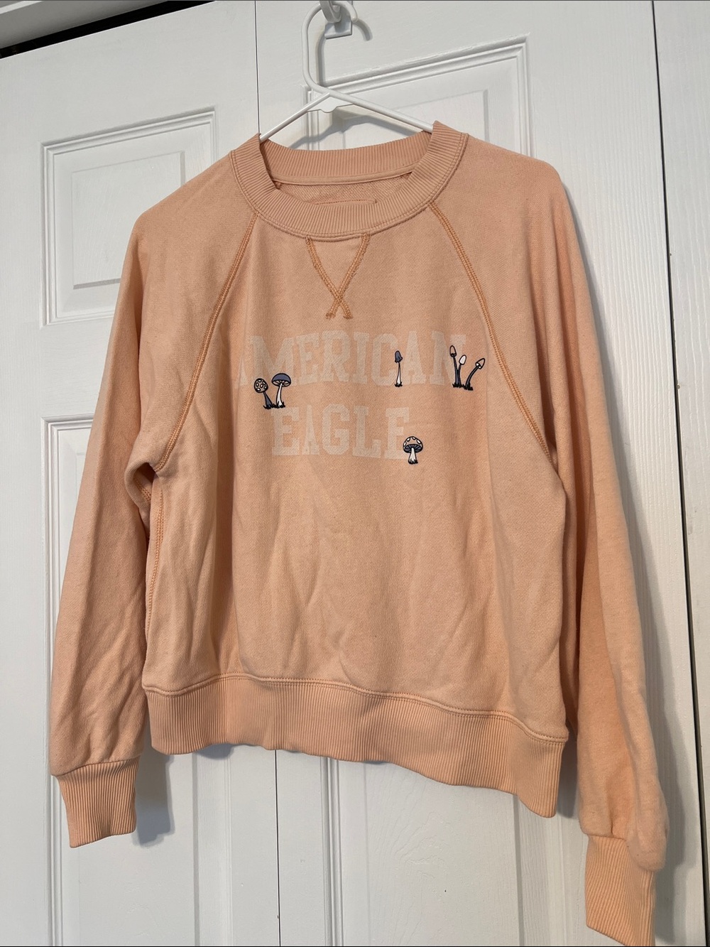 American Eagle Outfitters Peach Logo Sweatshirt